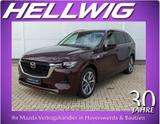 Mazda CX-80 3.3l (254PS) Takumi Plus Panodach Captian  - Mazda CX-80 Gebrauchtwagen