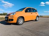 Fiat Panda EASY 1.2 - Fiat Panda Gebrauchtwagen in Nürnberg