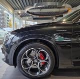 Alfa Romeo Stelvio 2.2 JTDM VELOCE Q4*Matrix LED*ACC*Kamera - Alfa Romeo Stelvio in Duisburg