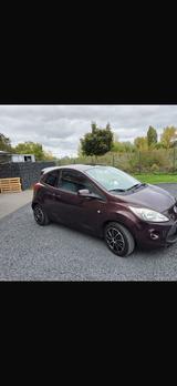 Ford Ka  zuverlässiger Kleinwagen zu verk... - : Kleinwagen, Zuverlässige