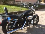 Harley-Davidson Sportster XL 1200 CB Custom - HARLEY-DAVIDSON SPORTSTER 1200 C