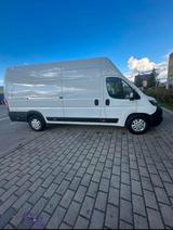 Fiat Ducato Maxi - Fiat Ducato Gebrauchtwagen in Nürnberg
