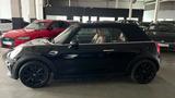 MINI Cooper CABRIO AUTOMATIK NAVI LED LEDER CHESTER - MINI Cooper Cabrio: Roadster, Automatik