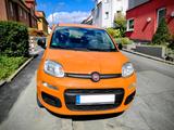 Fiat Panda 1.2 easy Euro 6 - Fiat Panda Gebrauchtwagen in Dortmund