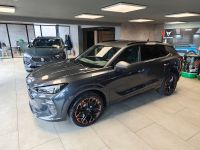 Cupra Terramar - Vorschau Bild 11