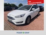 Ford Focus 1.5 Tianium GRA/Lenkhz/Scheibenhz/Klima/Te - Ford in München