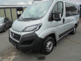 Fiat Ducato Luxusbus Panorama 30 140 L1H1 RS: 3000 mm - Fiat Ducato: Luxusbus Panorama