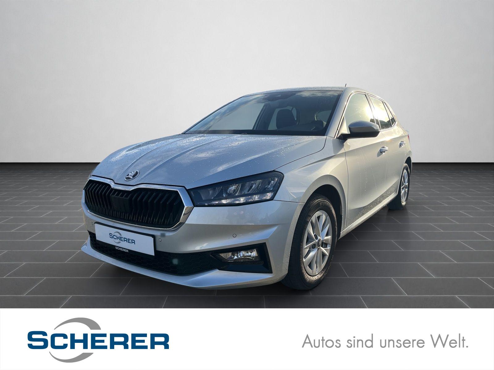 Skoda Fabia 1.0 TSI *Selection* RFK SHZ Kessy VK-Erken