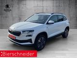 Skoda Karoq 1.5 TSI DSG Selection Pano AHK Matrix Kame