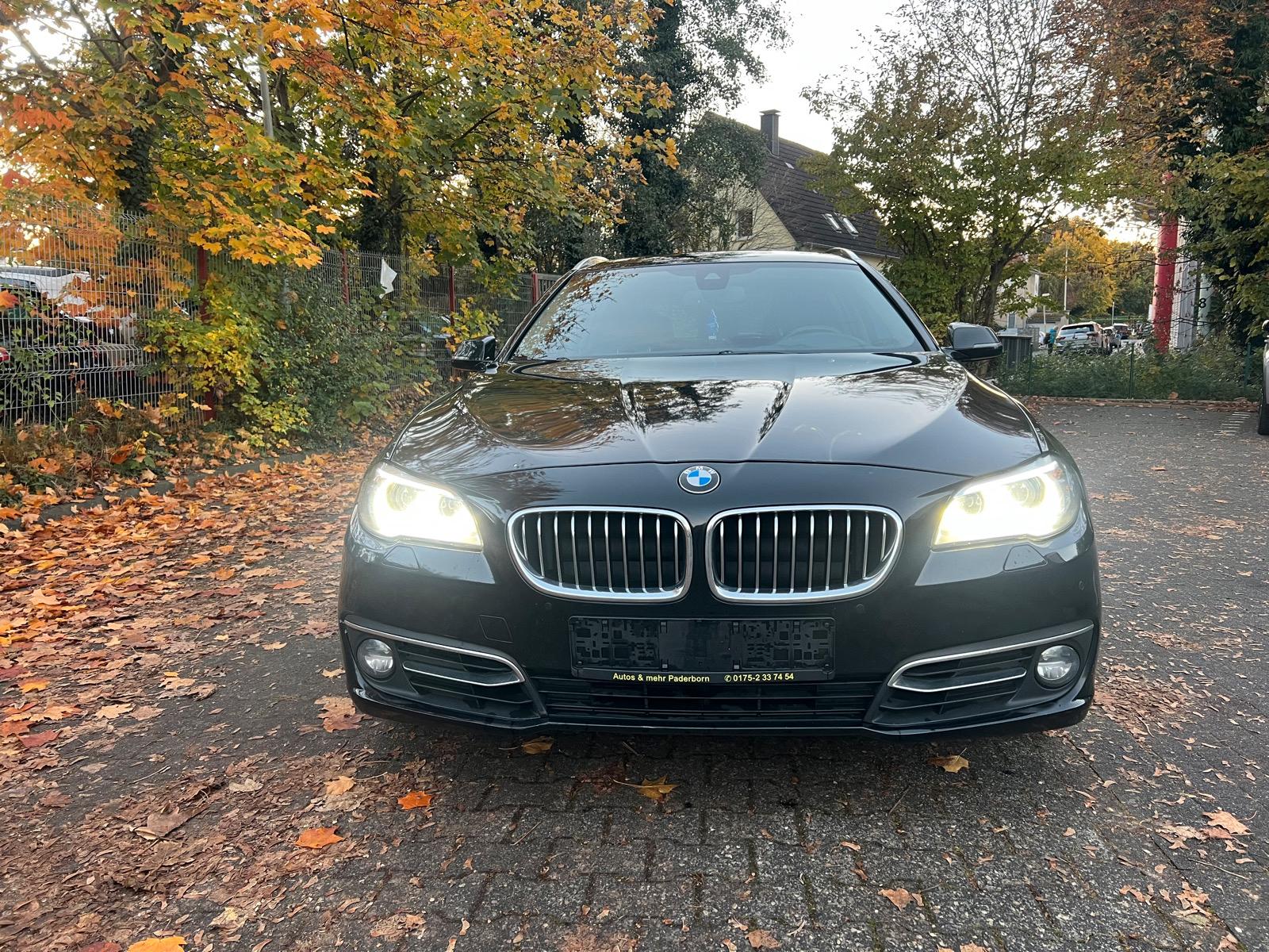 BMW 530 2013 — rear view