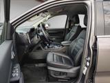 Ford Ranger 2.0 EcoBlue Limited DoKa Kamera AHK TWA P - Ford Ranger: Limited