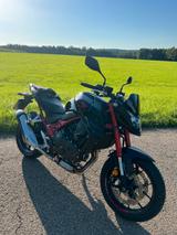 Honda CB 750 Hornet (sehr gepfl. - viel Zubehör - QS) - Honda Motorräder in München