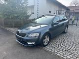 Skoda Octavia 1.6 TDI 81kW Active  lückenlos schekheft - Skoda Octavia Active mit Diesel-Antrieb