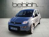 Fiat PANDA 1.0 GSE Hybrid - Fiat Panda: Pickup