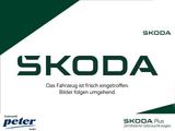 Skoda KODIAQ TSI DSG 4X4 STYLE PANORAMA*DCC*AHK*CANTON - Skoda Kodiaq