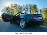 Mercedes-Benz SLK55 V8 Designo/19Zoll/P30 Traumauto!! - Mercedes-Benz: Sportwagen, Sl