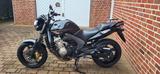 Honda CBF 600 PC 43 - HONDA CBF 600 PC43