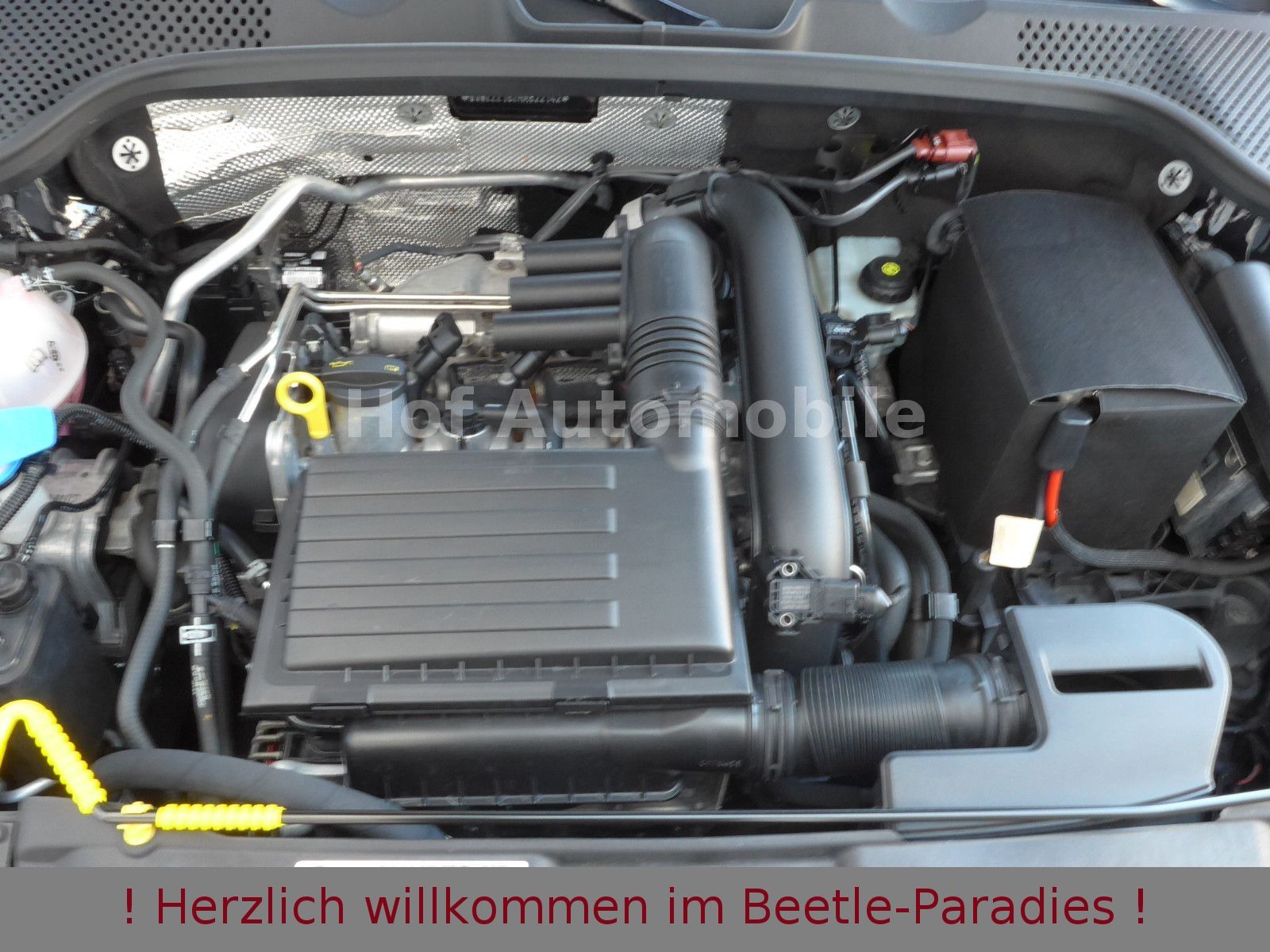 Volkswagen Beetle 1.2TSI Sound Plus Fender Xenon AppCon. SH foto 20