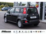 Fiat Panda Hybrid 1.0 GSE NEUES MODELL 2024 CITY TEMP - Fiat Panda Vorführfahrzeuge