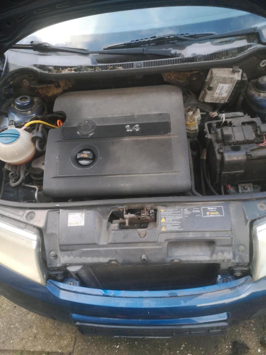 Skoda Fabia 2006 — engine 75 HP (55kW)