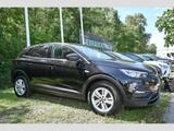 Opel Grandland X Edition 1.6 D Winterpaket 2-Zonen-Kl - Opel Grandland (X) in Dortmund