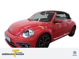 Volkswagen Beetle Cabrio 1.2 TSI DESIGN NAVI SITZH PDC+ LM1 - gebrauchte Volkswagen Beetle aus dem Jahr 2018