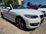 BMW 220 2 Cabrio 220 i Sport Line+PDC+LEDER+SITZHEIZ - gebrauchte BMW 220 aus dem Jahr 2016