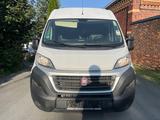 Fiat Ducato Maxi Grossr.-Kasten 35 130 L5H2 RS: 4035 - Fiat Ducato: L5