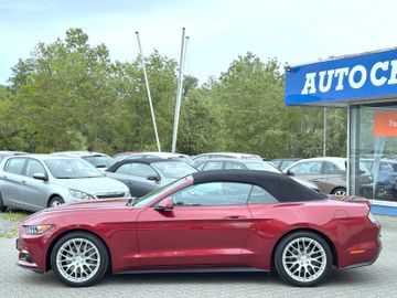 Ford Mustang - 5
