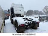 MAN TGX-18.400-SZM-4x2-Automatik-Kippyd-Motorschaden - MAN SZM