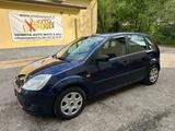Ford Fiesta 1.4 TDCi 5p. Ghia - Ford Fiesta aus 2004 mit Diesel-Antrieb