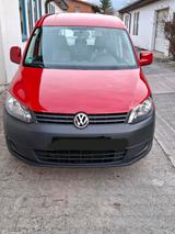 Volkswagen VW Caddy 1.2 TSI rot 105 PS Benziner - Volkswagen Caddy mit Benzin-Antrieb: Kombi, 1.2