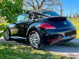Volkswagen Beetle 2.0 TDI DSG BMT ALLSTAR Cabriolet ALLSTAR - Volkswagen Beetle: TDI