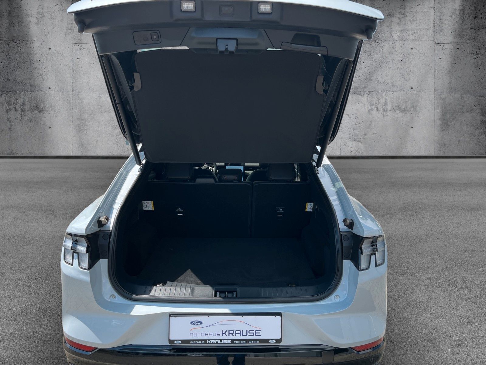 Fahrzeugabbildung Ford Mustang Mach-E AWD
