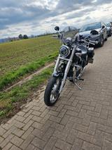 Triumph Speedmaster - Angebote