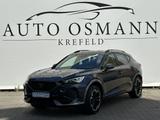 Cupra Formentor 2.0 TDI / SPURH. ASSIST / ACC / DAB - Cupra in Düsseldorf