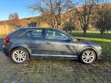 Audi A3 8P 2.0 TDI (DPF) Ambition - Audi A3 8P mit Diesel-Antrieb