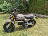 Skyteam X-Bongo 50ccm