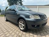 Volkswagen Polo 6N2 1.4l MPI - Volkswagen Polo aus 2000: 1.4