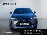Lexus UX 250h Executive Line *HUD*Leder*GSD*CAM*el Hec - Lexus aus 2023