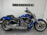 Harley-Davidson VRSCAW V-ROD V ROD NIGHTROD SPECIAL ABS 1250 BOV - HARLEY-DAVIDSON VRSCA