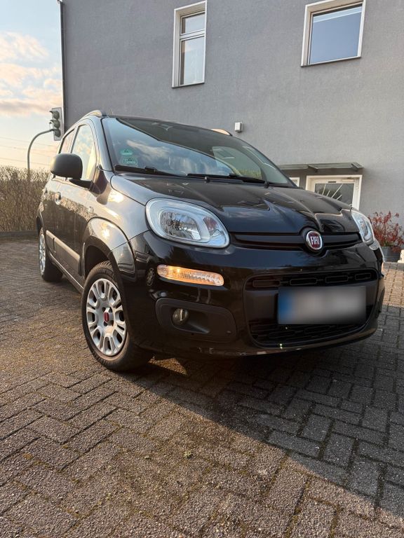 Image of Fiat Panda