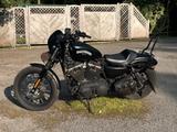 Harley-Davidson Sportster Iron XL 883 | Matt - HARLEY-DAVIDSON 883 SPORTSTER