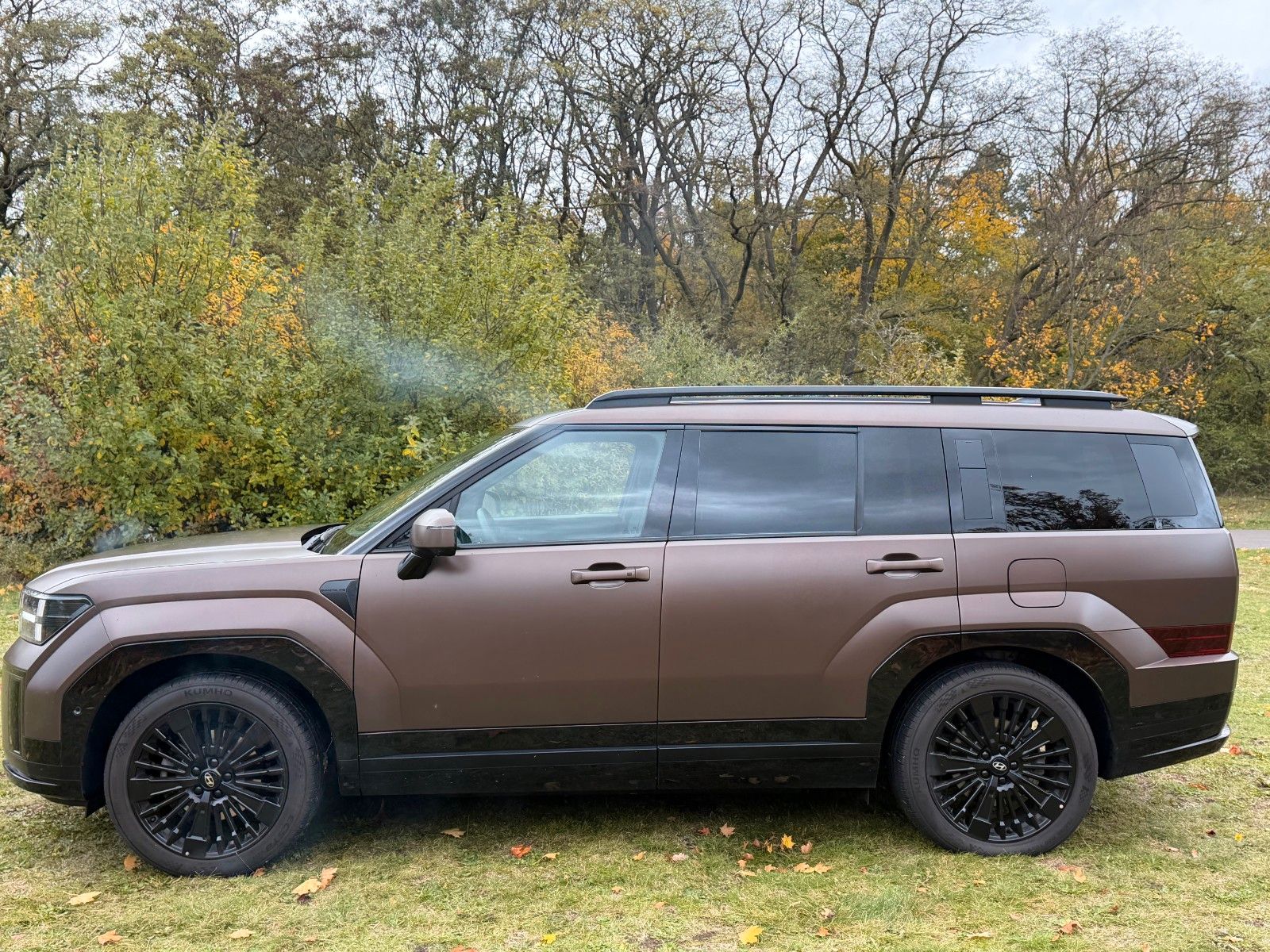 Fahrzeugabbildung Hyundai SANTA FE 1.6T-GDI HEV Blackline *Standhzg*AHK*