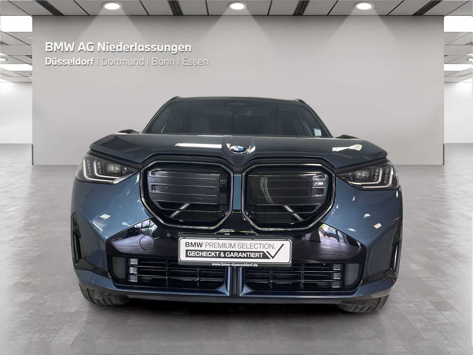 BMW X3 M50 - Bild 8