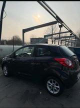 Ford Fahrzeug Ford Ka - Ford Ka/Ka+ Gebrauchtwagen in Köln