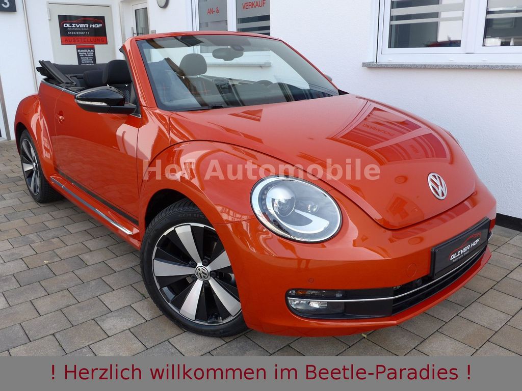 Image of Volkswagen Beetle