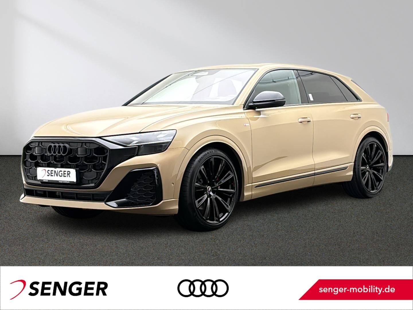 Audi Q8 TDI quattro Allradlenk. Optik-Paket LED Pano.