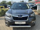 Subaru Forester S14/SK 2,0ie Mild-Hybrid CVT Platinum S - Subaru aus 2020