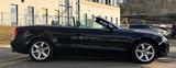 Audi A5 2.0 TFSI /LEDER/NAVI/PDC/TEMPOMAT/SHZ - Audi A5 aus 2010: Cabrio
